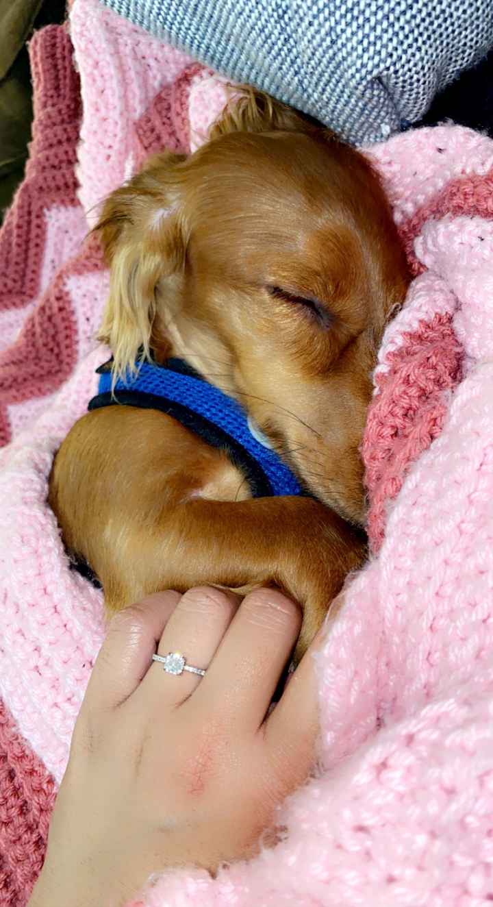 Brides of 2022! Show us your ring! - 1