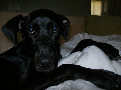 Lets' see your babies!!!