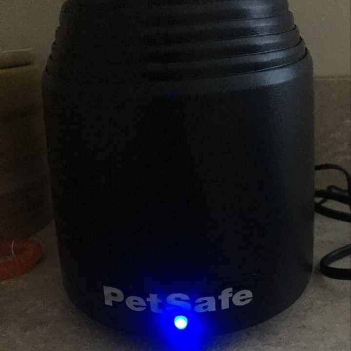 NWR- fences for dogs