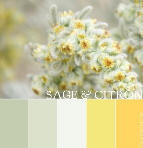 Color schemes!