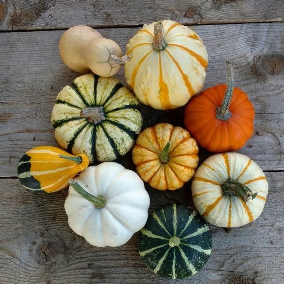 Fall Themed Wedding - Your Ideas & Pics!?