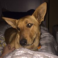 Need some WW good vibes this week!