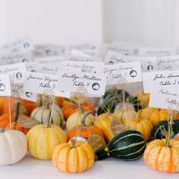 Show me your fun decor!