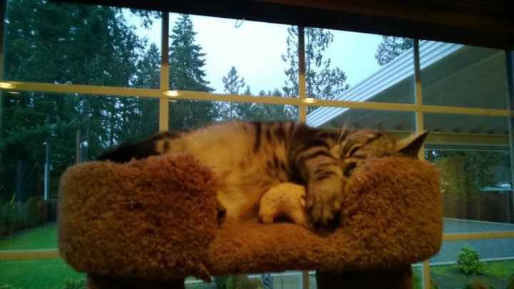 NWR:  Feline Friday :)