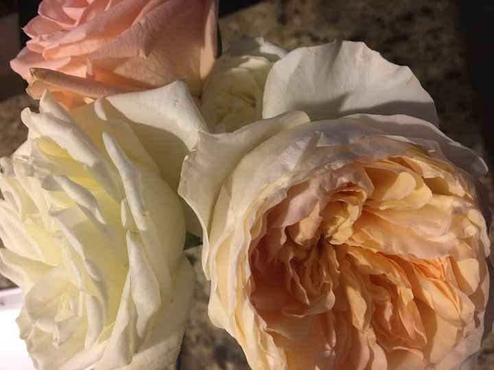 So ...which would you rather? ?