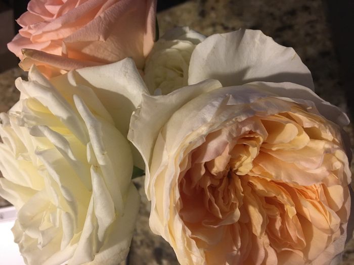 So ...which would you rather? ?