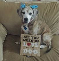 Cuteness