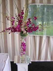 Silly question, but what’s your opinion?