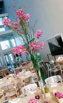 Silly question, but what’s your opinion?