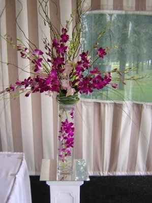 Centerpiece Ideas???? Post pics if you have them!  Thanks!!