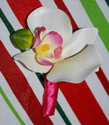 First Round of DYI = DONE! :)    (PIC HEAVY)