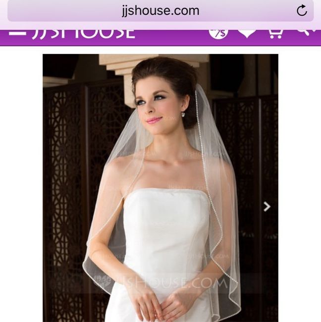 Dress/Veil/Shoes