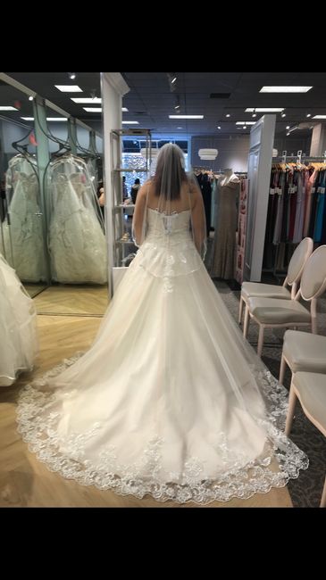 May 2020 brides show me that dress! 6