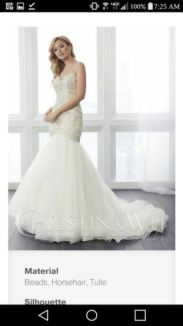 Please show your wedding dress, ladies - 4