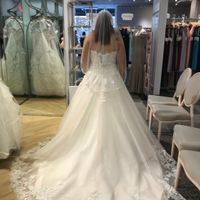 May 2020 brides show me that dress! - 2