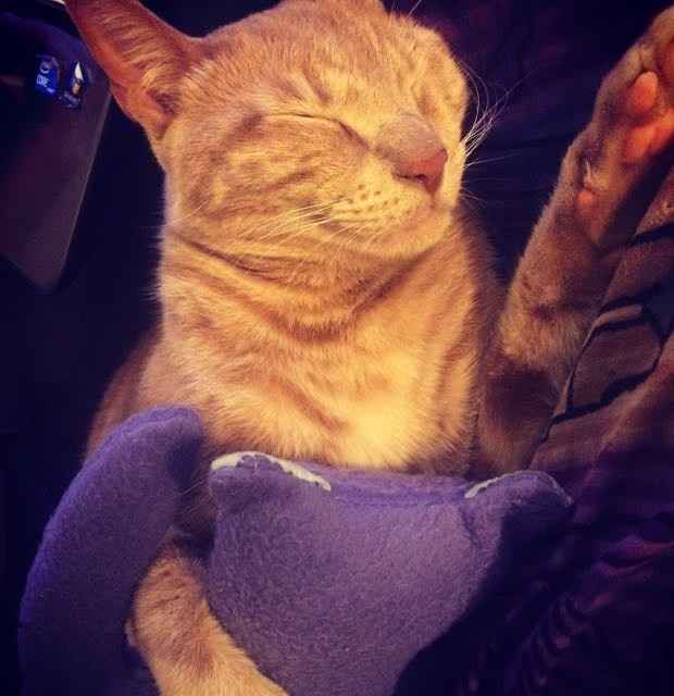 NWR: post pics of your pets!!