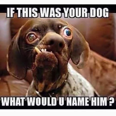 WTF Wednesday!