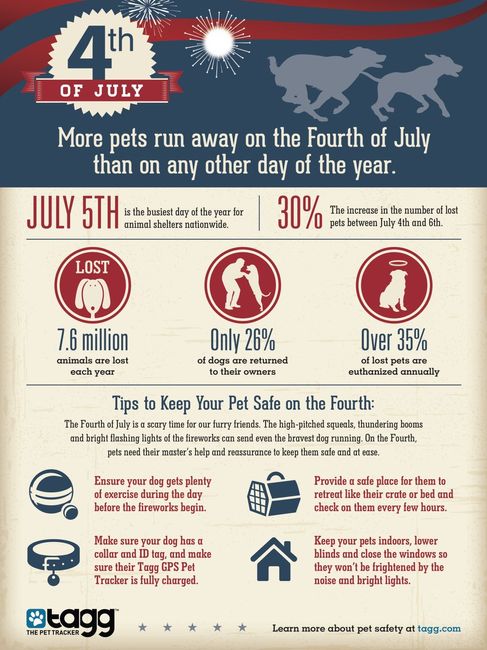 NWR: Dogs and the 4th of July