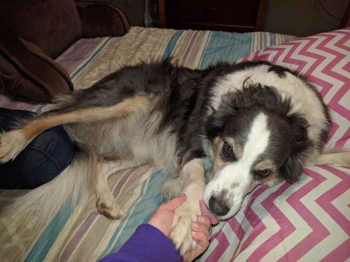 NWR: you and furbaby pic!
