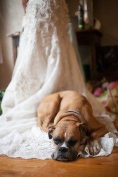 What are your *must have* photos?