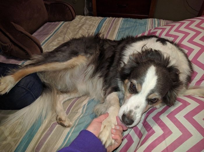 NWR: you and furbaby pic!