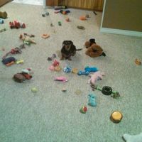 NWR: Lets See Your Fur Babies!