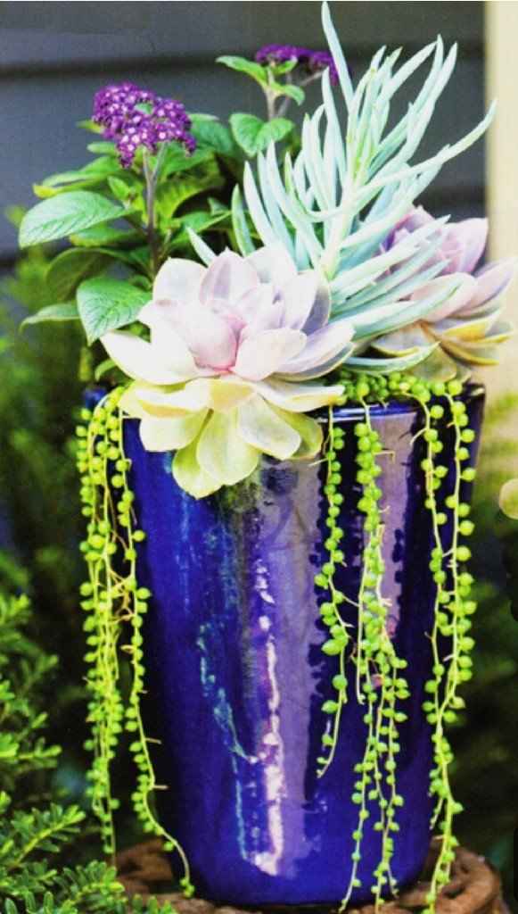 Fill In The Blank: Our wedding colors are _____ - 3