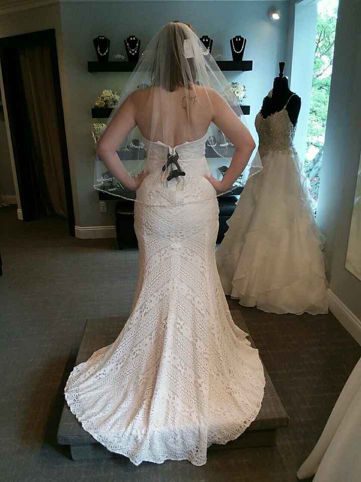 The dress - 1