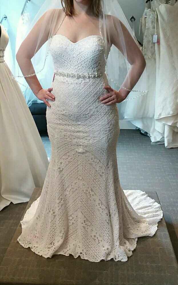 The dress - 2