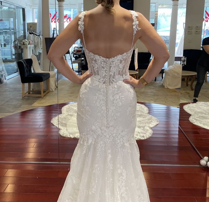 Help!  i can't choose a wedding dress- opinions needed 1