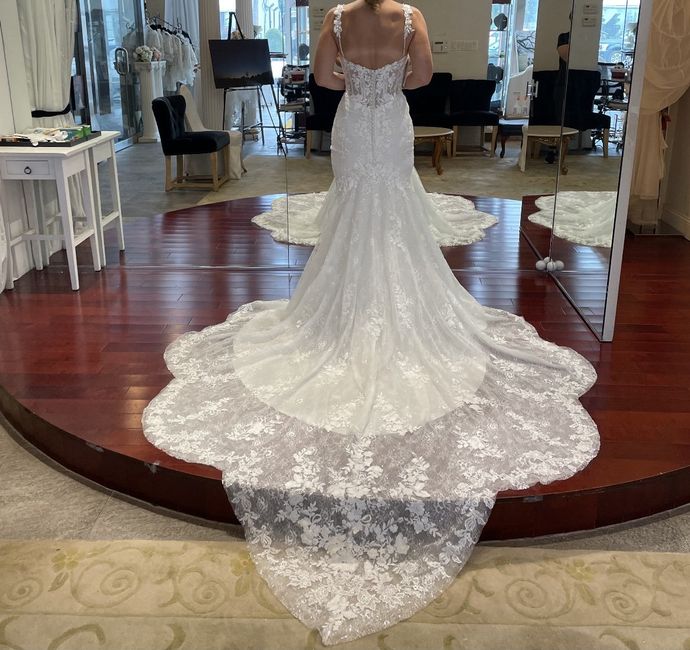 Help!  i can't choose a wedding dress- opinions needed 2