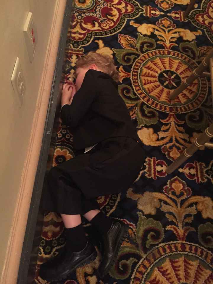 It's a Great Day for a Ba-Ba-BAM!!! (Non-Pro Pics!)