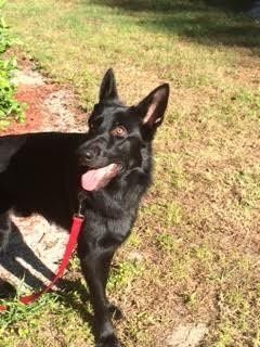 NWR: post pics of your pets!!