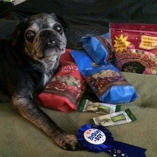NWR: post pics of your pets!!
