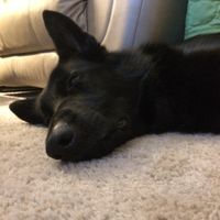 It's Fursday! Share the love!