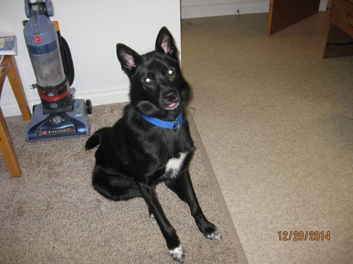 Its Fursday! Show me your furbabies! :)