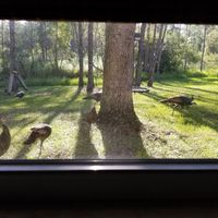 Picking a watery venue - 1