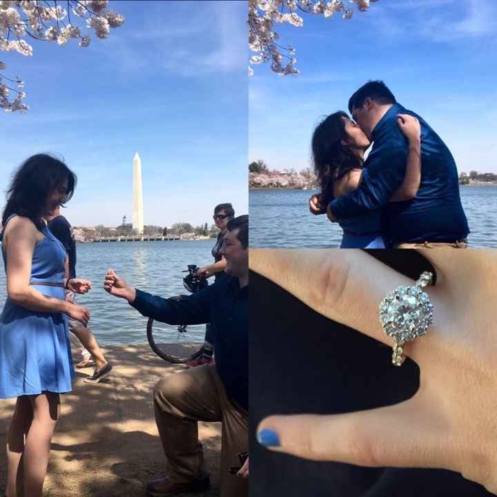 How did your FS propose?
