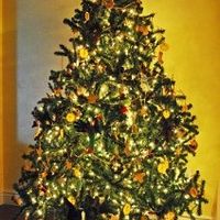 NWR- Lets see your Christmas trees!!!