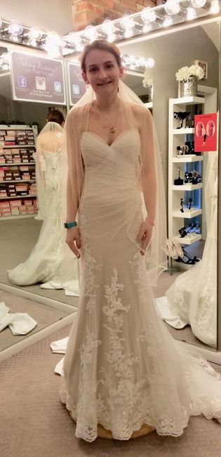 Sophia Tolli Aleena Dress