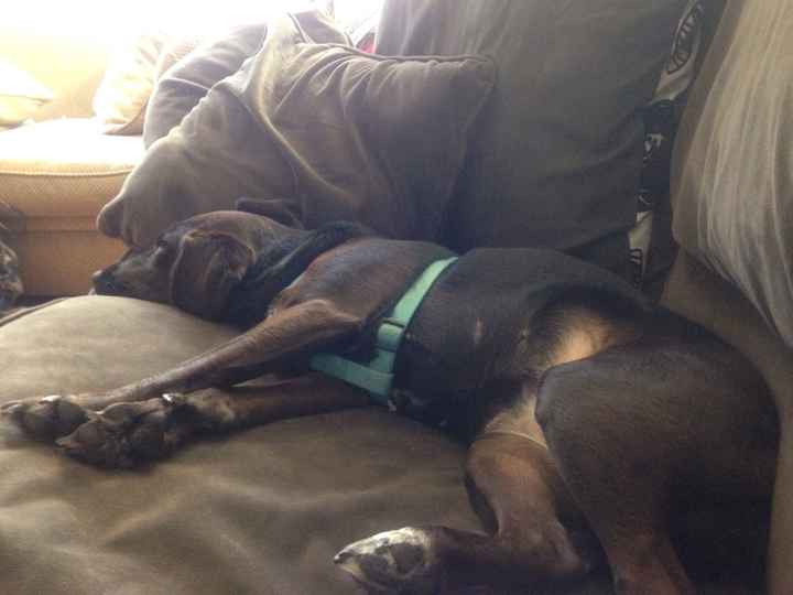 I might be late but...