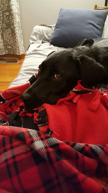 Update #2: I'm so devastated. NWR