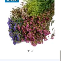 Trader Joe's or Sam's Club for diy Flowers? - 4