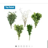 Trader Joe's or Sam's Club for diy Flowers? - 5