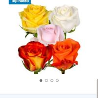 Trader Joe's or Sam's Club for diy Flowers? - 6