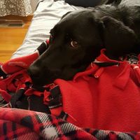 Update #2: I'm so devastated. NWR