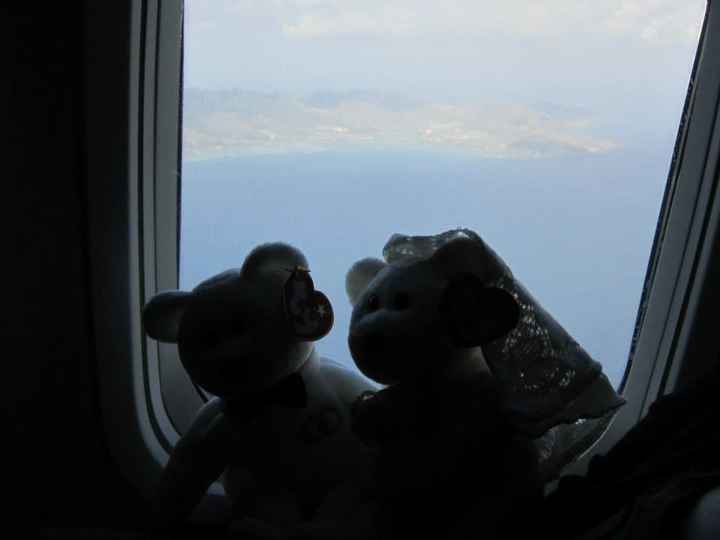 Where are the beanies?