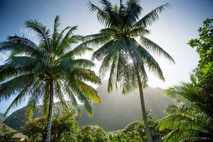 SPINOFF: outrageous places you'd have your wedding if you were loaded.