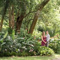 I really, really love all the greenery.