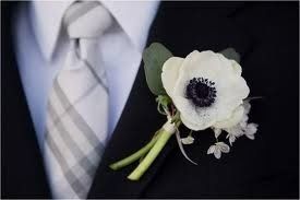 Any Winter Flower Ideas for my bouquet? I'm not in LOVE *pics*